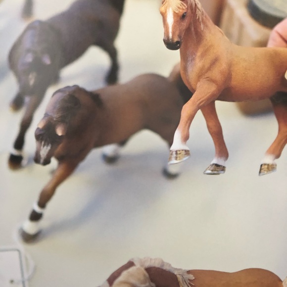 Collectible Book - Schleich - Picture 7 of 9